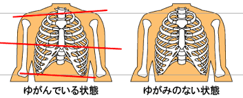 画像の説明